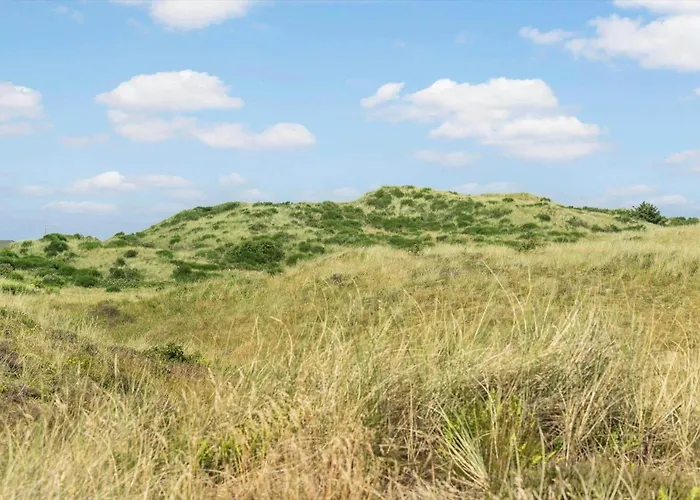 Prázdninový dům 356-hvide-sande-holmsland-klitvej-13